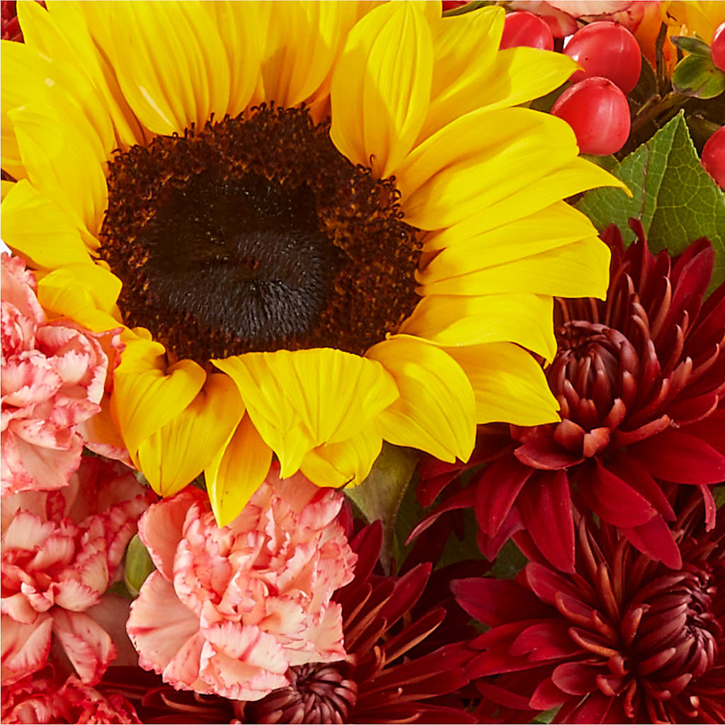 Fresh Cider Bouquet –  Cheapflowers.com, Tontitown AR