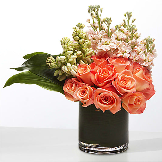 The Moment –  Cheapflowers.com, Tontitown AR