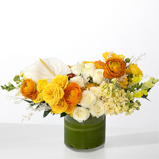The Optimist –  Cheapflowers.com, Tontitown AR