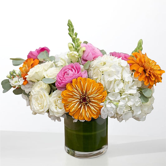 The Meet Cute –  Cheapflowers.com, Tontitown AR