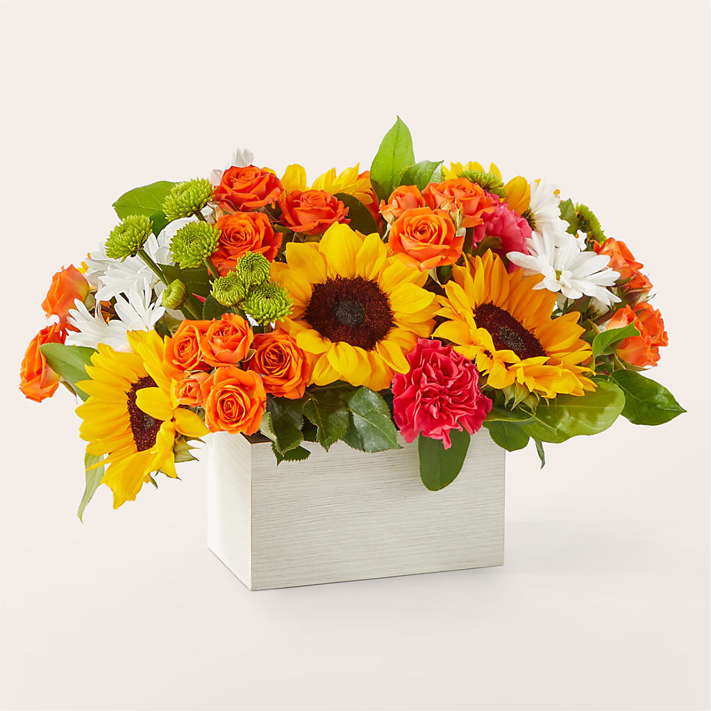 Sun-drenched Blooms Box Bouquet –  Cheapflowers.com, Tontitown AR