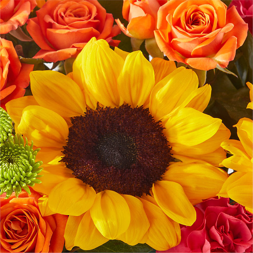 Sun-drenched Blooms Box Bouquet –  Cheapflowers.com, Tontitown AR