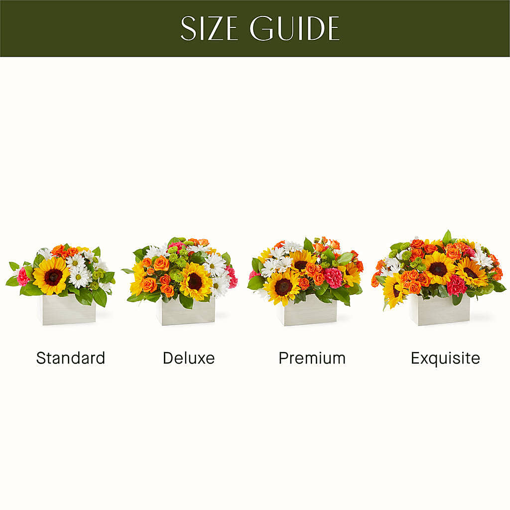 Sun-drenched Blooms Box Bouquet –  Cheapflowers.com, Tontitown AR