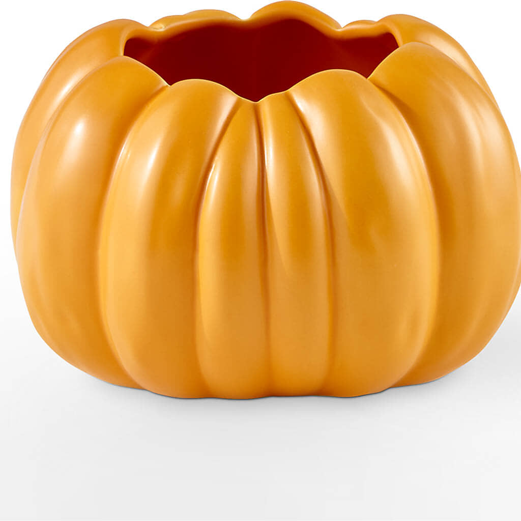 Pick of the Patch Pumpkin Bouquet –  Cheapflowers.com, Tontitown AR