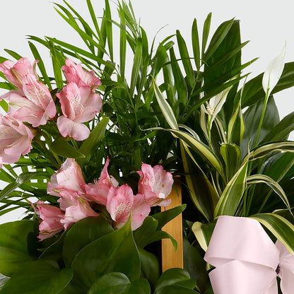 Living Spirit Dishgarden –  Cheapflowers.com, Tontitown AR