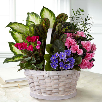 Peaceful Garden Planter –  Cheapflowers.com, Tontitown AR