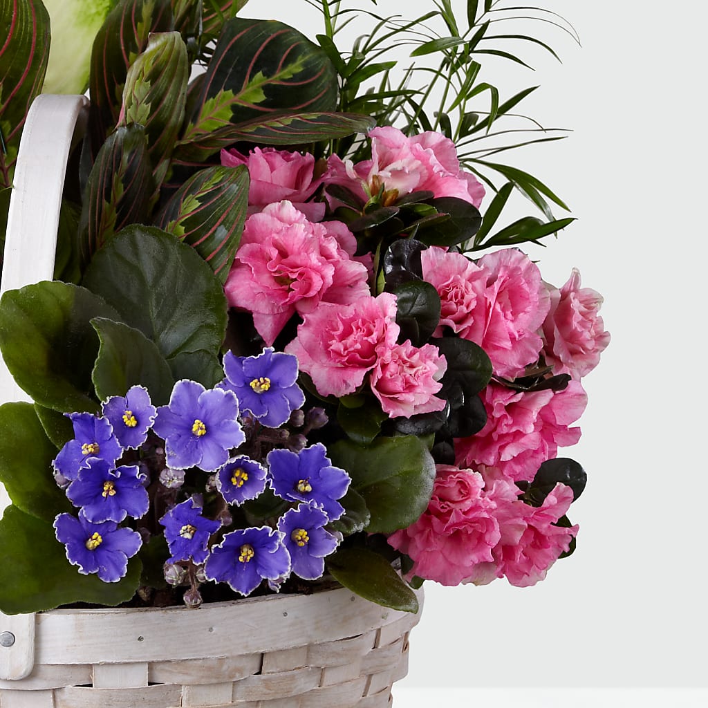 Peaceful Garden Planter –  Cheapflowers.com, Tontitown AR