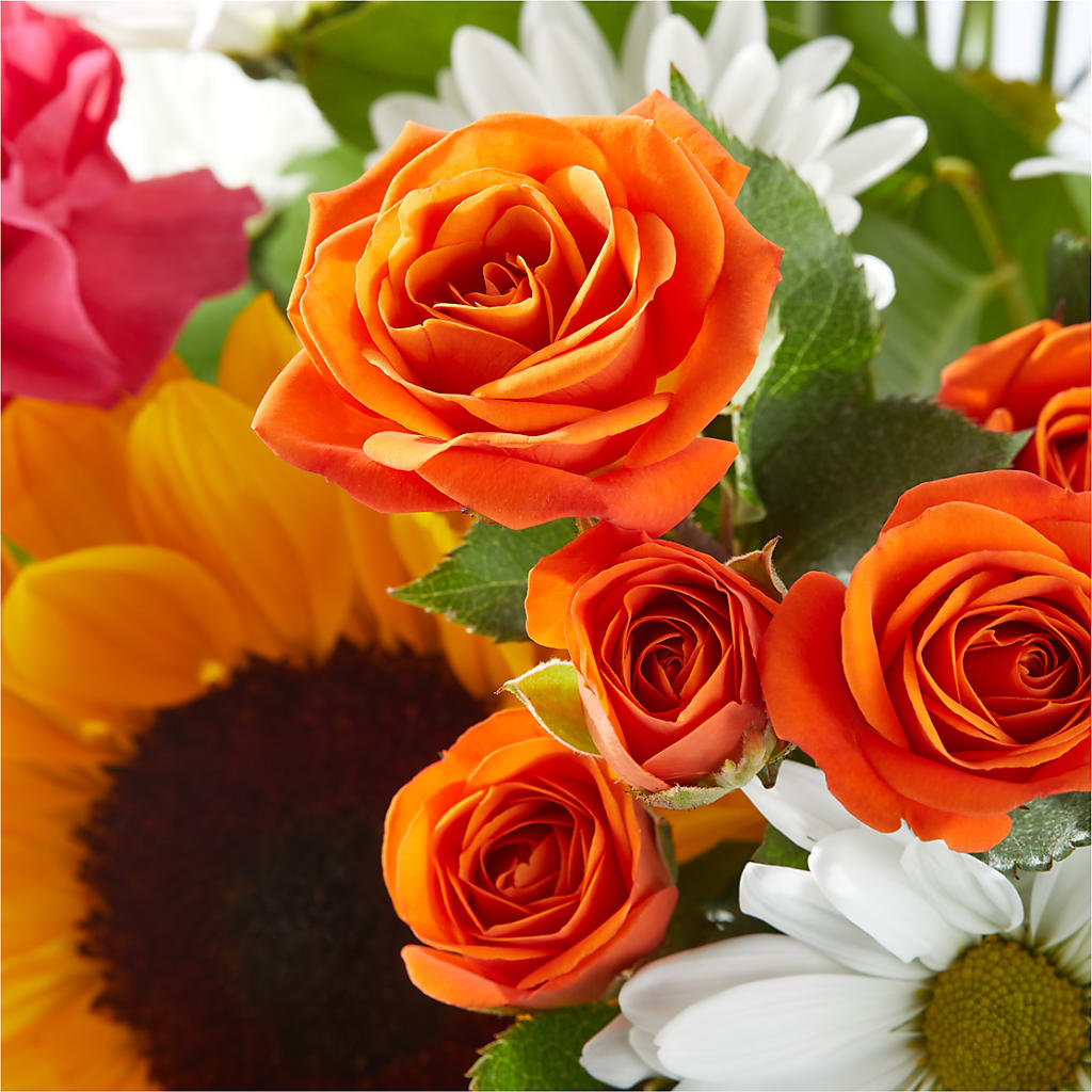 Sun-drenched Blooms Bouquet –  Cheapflowers.com, Tontitown AR