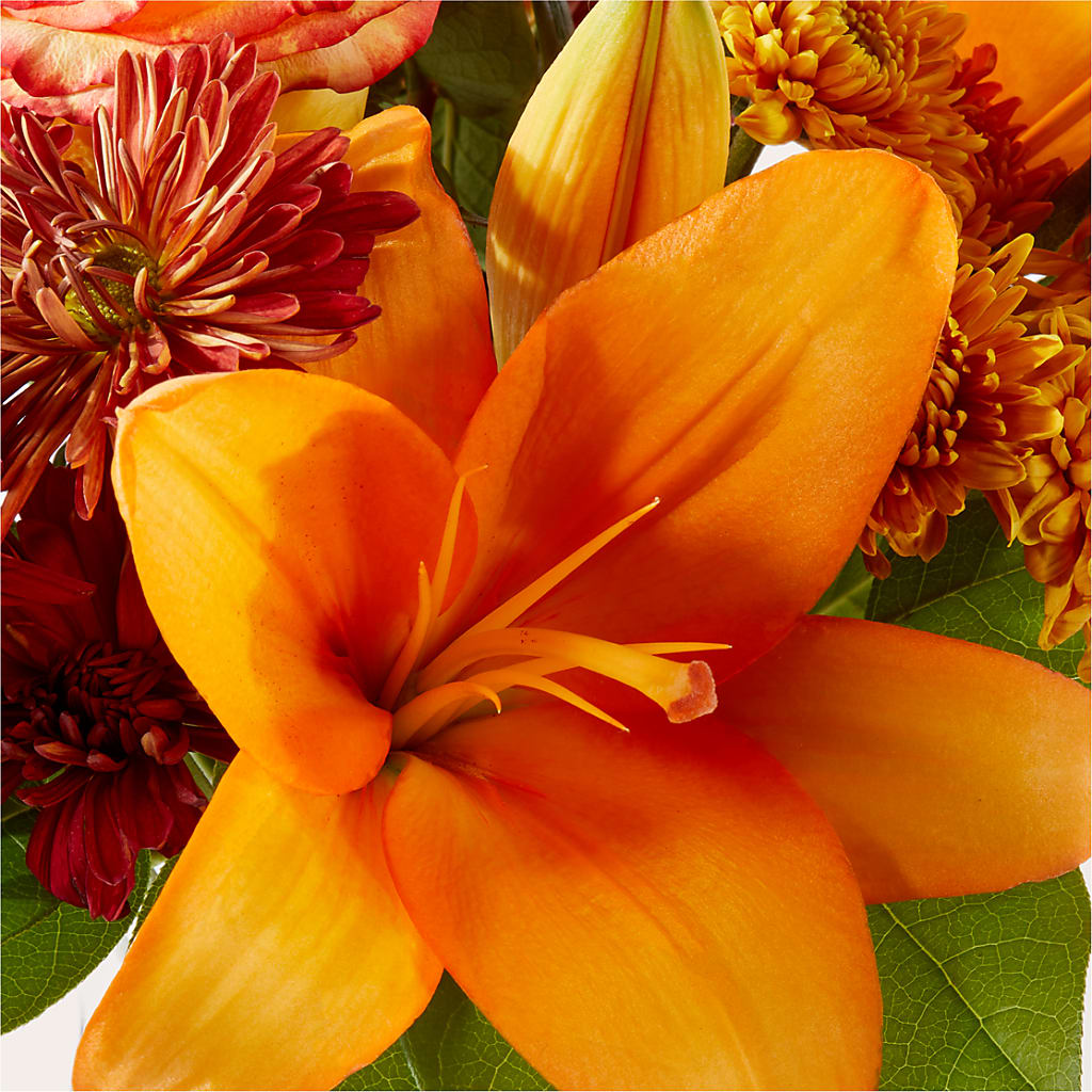 Autumnal Aroma Bouquet –  Cheapflowers.com, Tontitown AR