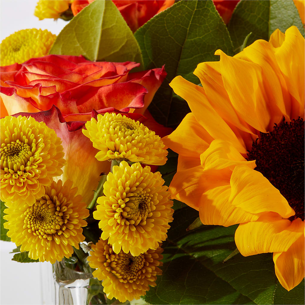 Picnic in the Park Bouquet –  Cheapflowers.com, Tontitown AR