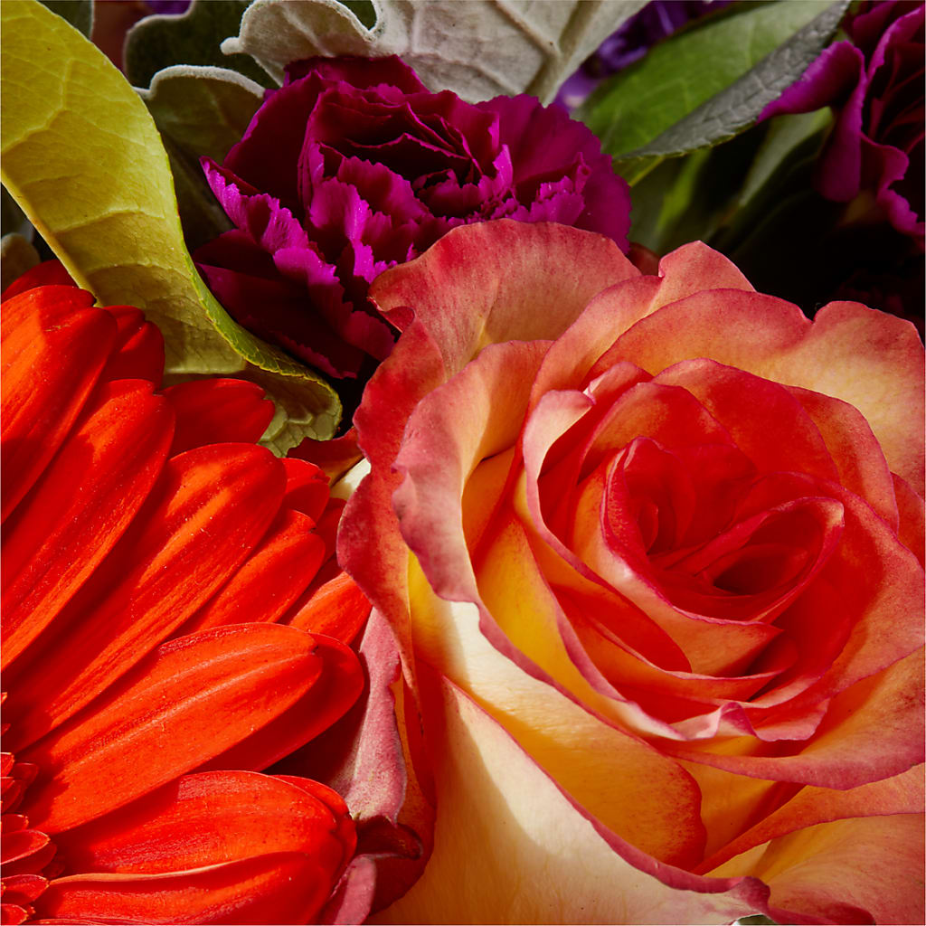 Sangria Bouquet –  Cheapflowers.com, Tontitown AR