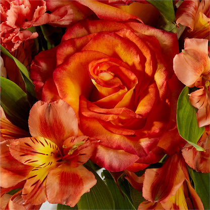 Apricot Glow Bouquet –  Cheapflowers.com, Tontitown AR