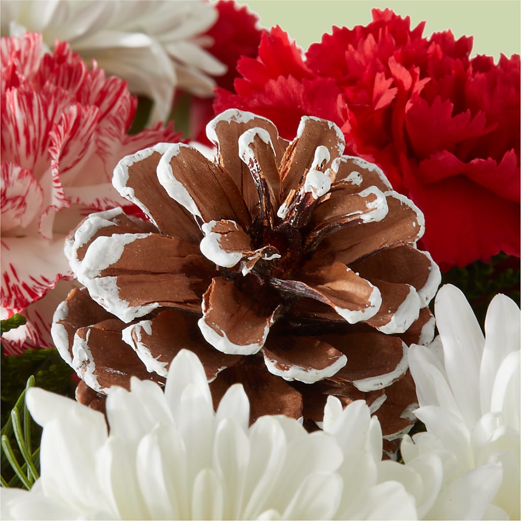 Candy Cane Lane Bouquet –  Cheapflowers.com, Tontitown AR