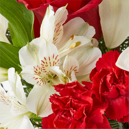 Holiday Season Bouquet –  Cheapflowers.com, Tontitown AR