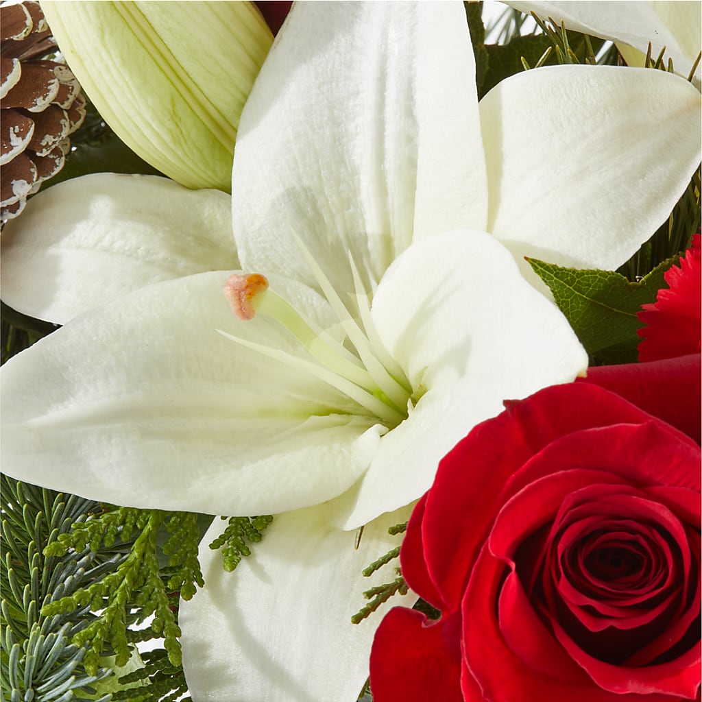 Oh So Jolly Bouquet –  Cheapflowers.com, Tontitown AR
