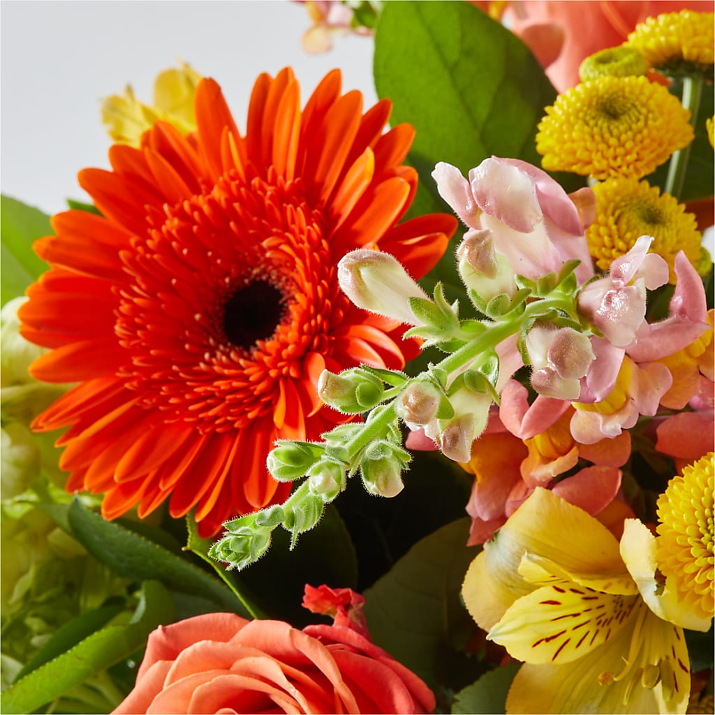 Autumn Sunshine Bouquet –  Cheapflowers.com, Tontitown AR