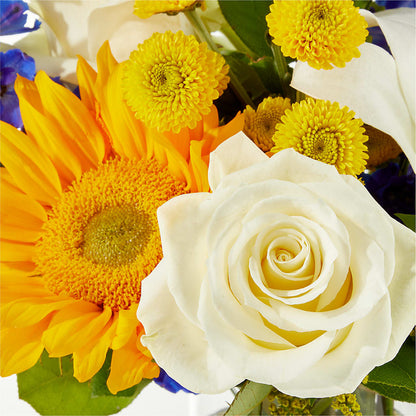 Stargazing Bouquet –  Cheapflowers.com, Tontitown AR
