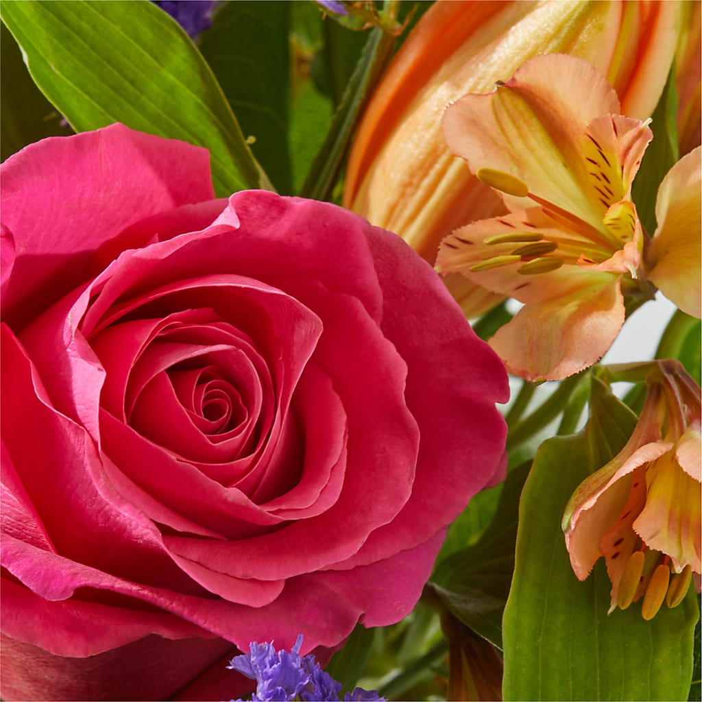 Joyful Bouquet –  Cheapflowers.com, Tontitown AR