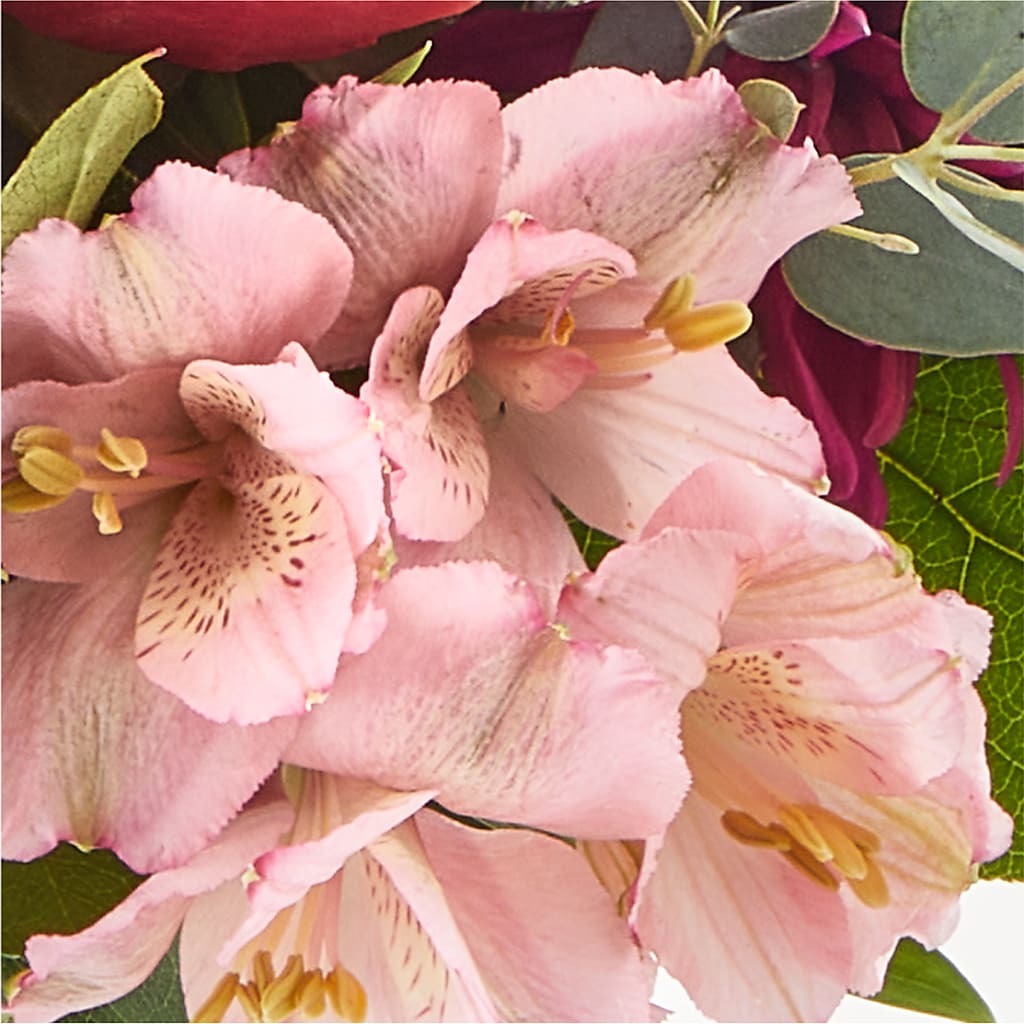Berry Cobbler Bouquet –  Cheapflowers.com, Tontitown AR
