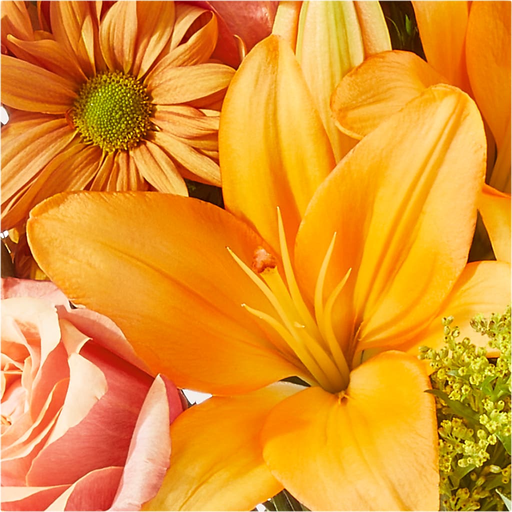 Harvest Hayride Bouquet –  Cheapflowers.com, Tontitown AR