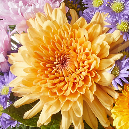 Countryside Bouquet –  Cheapflowers.com, Tontitown AR