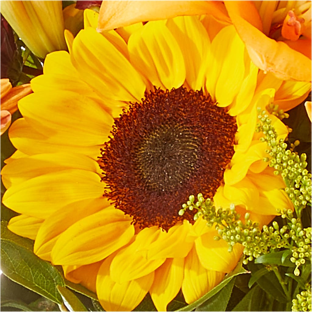 Seasons Change Bouquet –  Cheapflowers.com, Tontitown AR