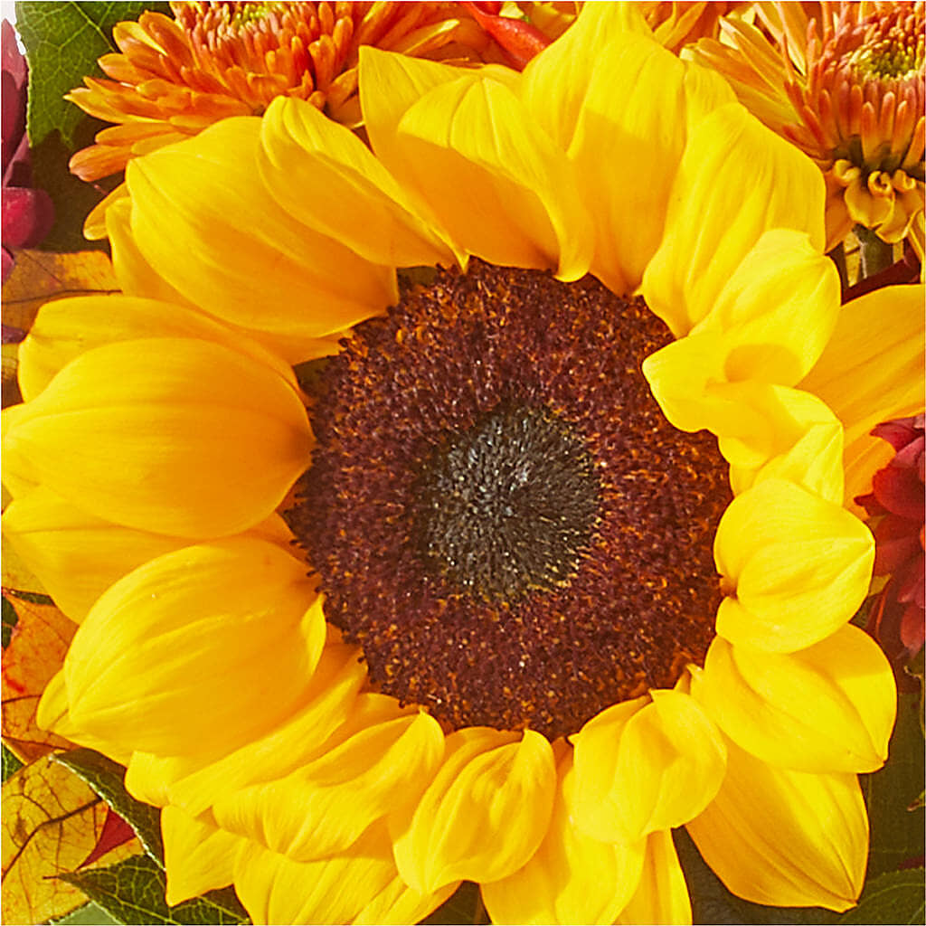 Sunny Side Bouquet –  Cheapflowers.com, Tontitown AR
