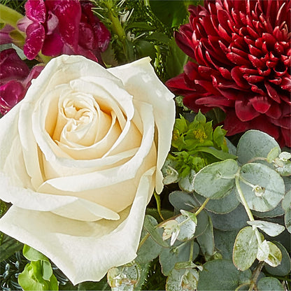 Cranberry Fizz Bouquet –  Cheapflowers.com, Tontitown AR