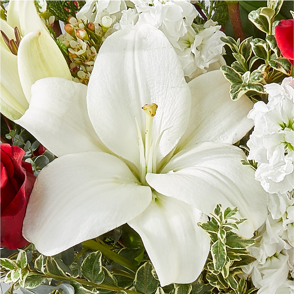 Twinkle Lights Bouquet –  Cheapflowers.com, Tontitown AR