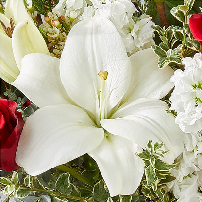 Twinkle Lights Bouquet –  Cheapflowers.com, Tontitown AR