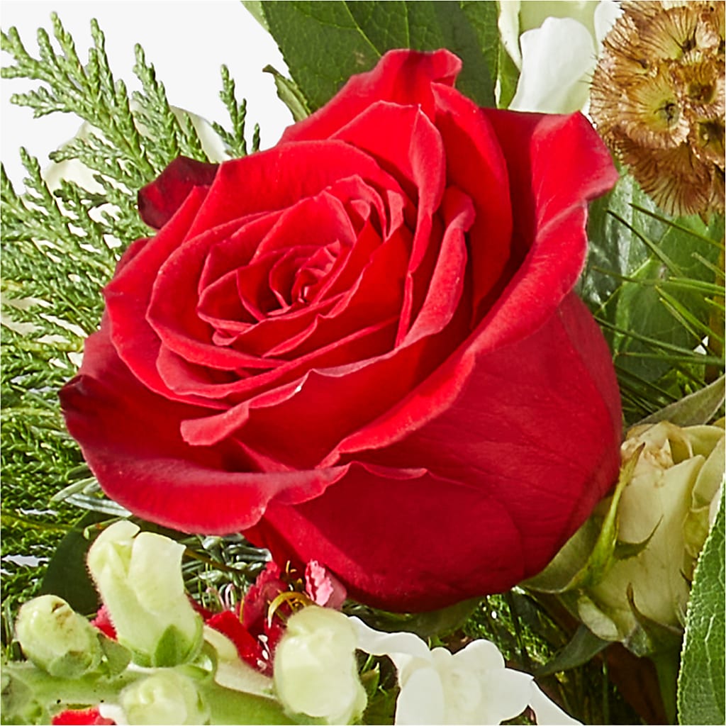 Deck the Halls Bouquet –  Cheapflowers.com, Tontitown AR