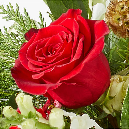 Deck the Halls Bouquet –  Cheapflowers.com, Tontitown AR