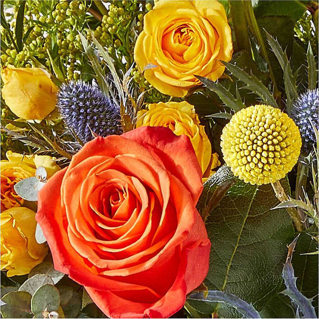 Disco Bouquet –  Cheapflowers.com, Tontitown AR