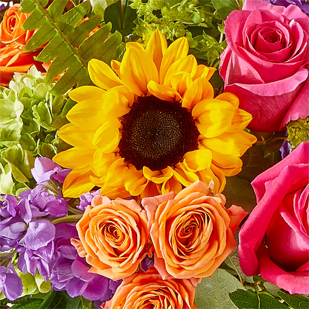 Vibrant Greetings Bouquet –  Cheapflowers.com, Tontitown AR