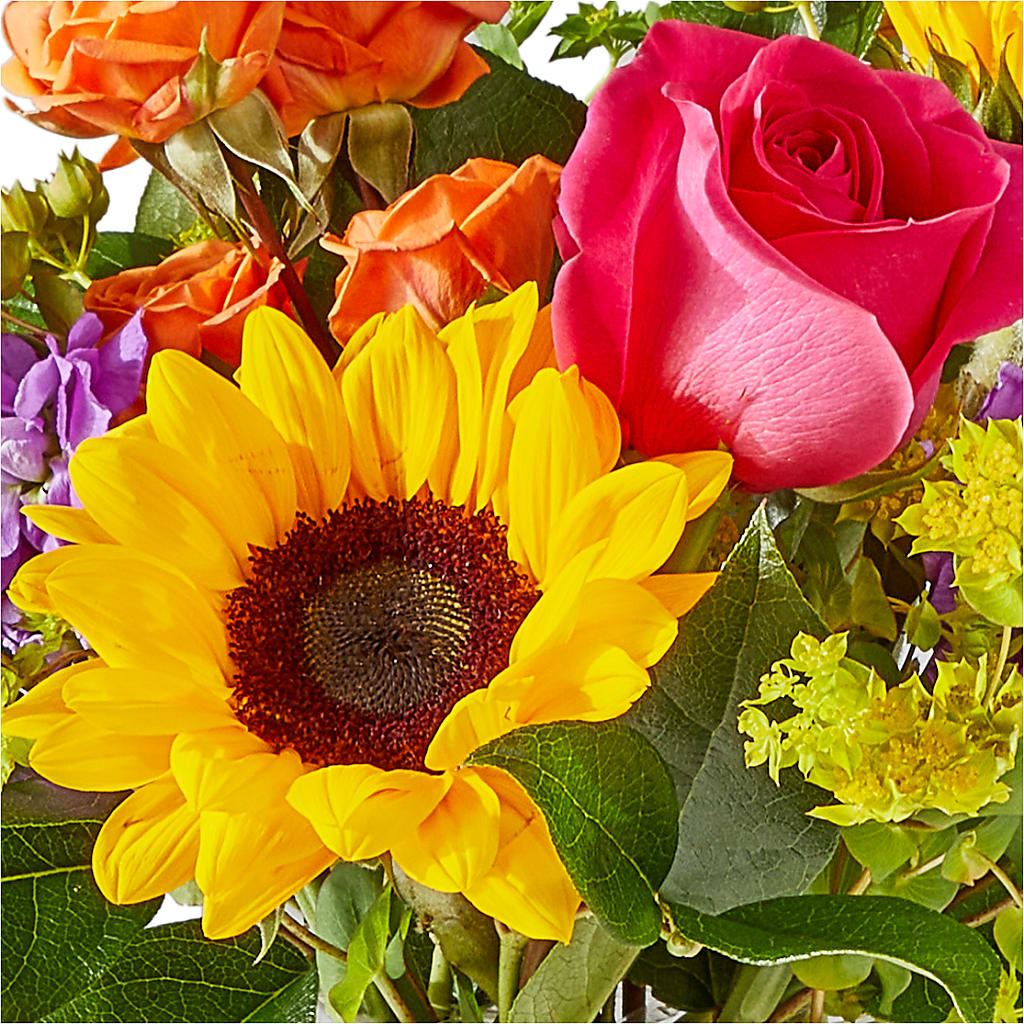 Vibrant Greetings Bouquet –  Cheapflowers.com, Tontitown AR