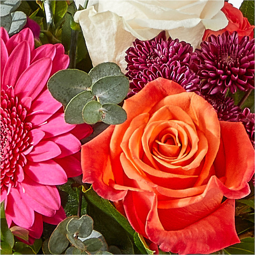Smell the Roses Bouquet –  Cheapflowers.com, Tontitown AR
