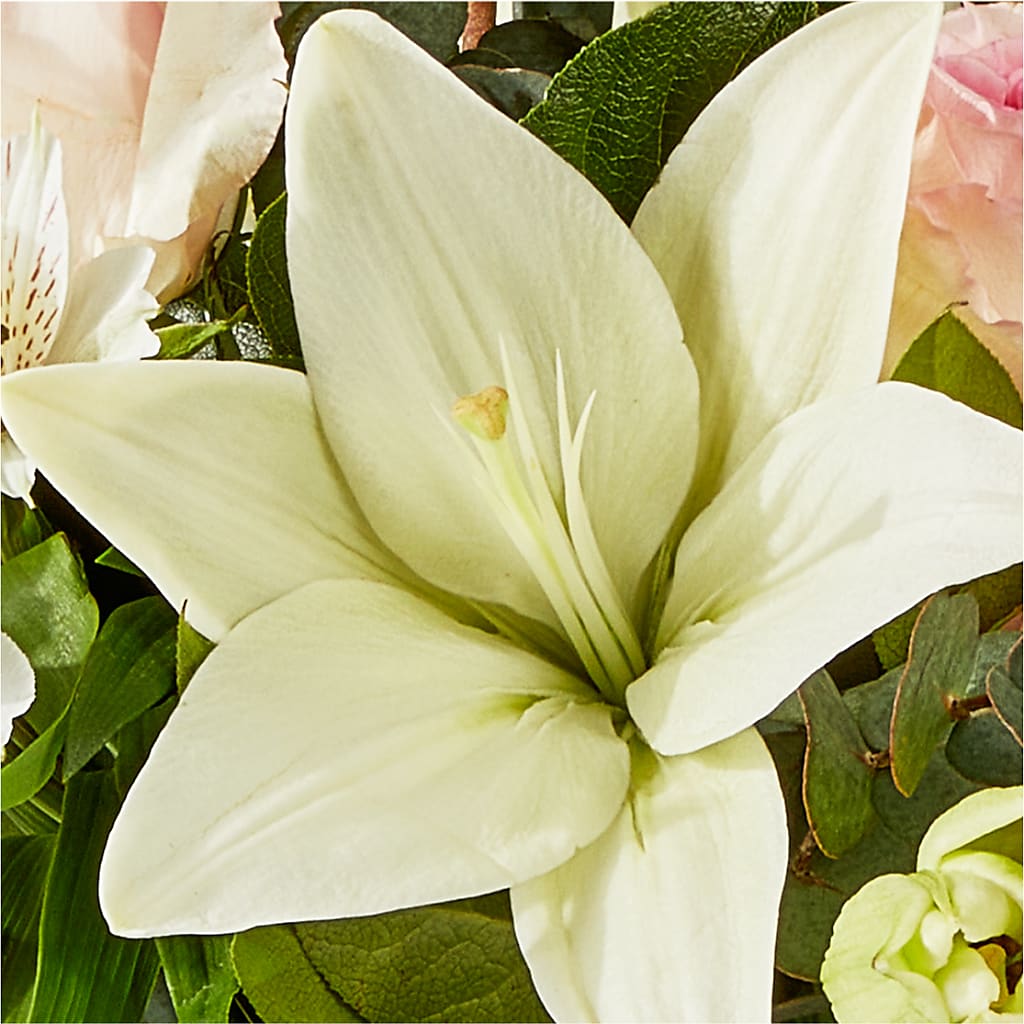 Ballet Slippers Bouquet –  Cheapflowers.com, Tontitown AR