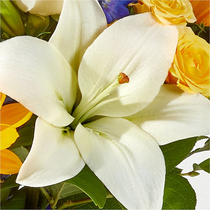 Wonderfully Sunny Bouquet –  Cheapflowers.com, Tontitown AR