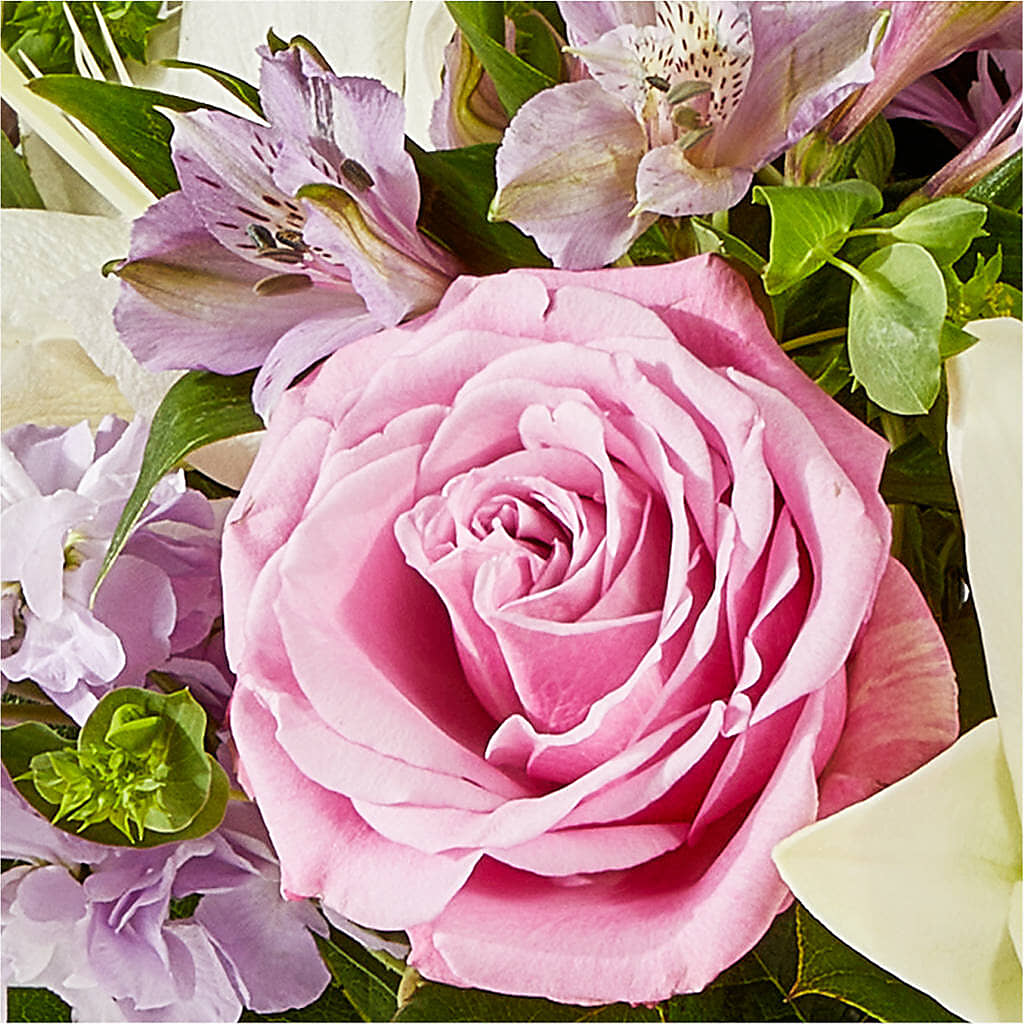 Daydreamer Bouquet –  Cheapflowers.com, Tontitown AR
