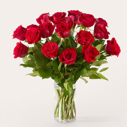 The One Red Rose Bouquet –  Cheapflowers.com, Tontitown AR