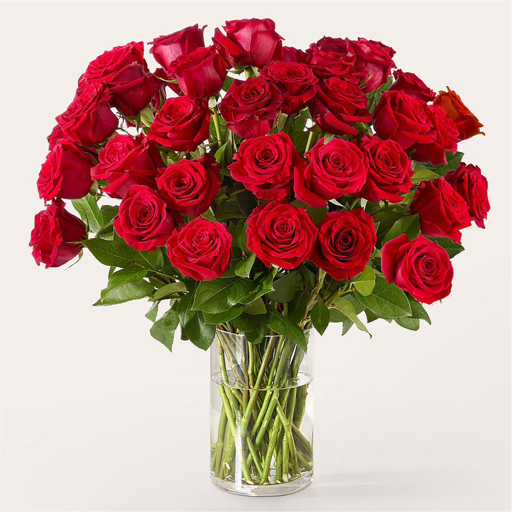 The One Red Rose Bouquet –  Cheapflowers.com, Tontitown AR
