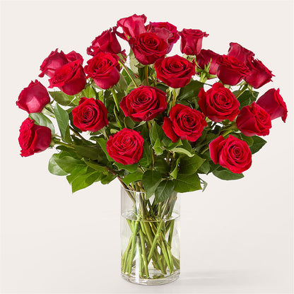 The One Red Rose Bouquet –  Cheapflowers.com, Tontitown AR