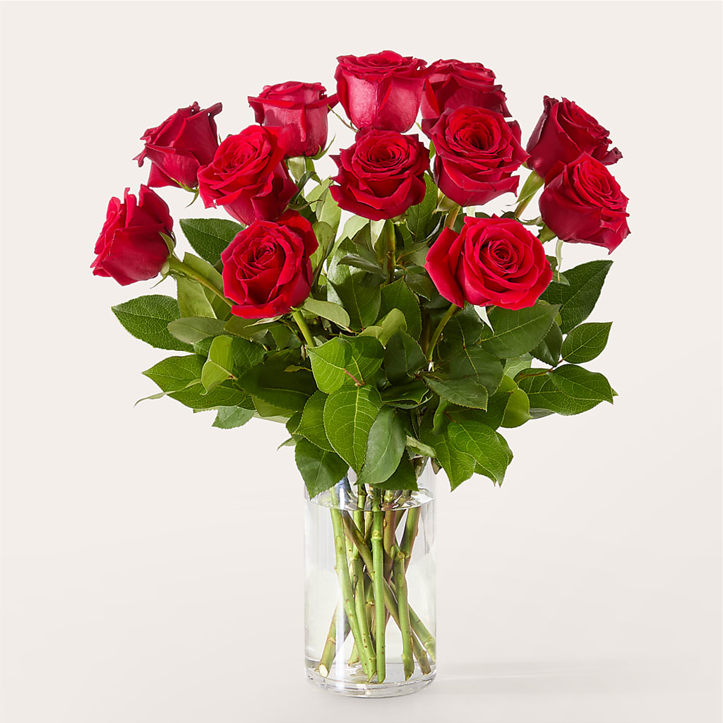 The One Red Rose Bouquet –  Cheapflowers.com, Tontitown AR