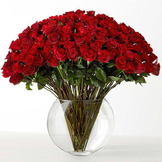 The Idealist –  Cheapflowers.com, Tontitown AR