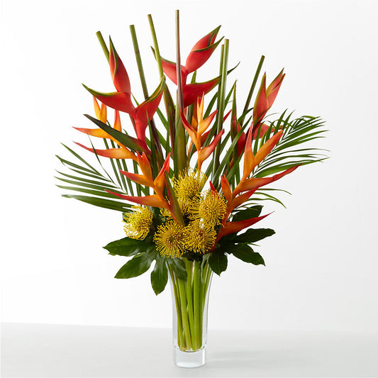 The Drama –  Cheapflowers.com, Tontitown AR